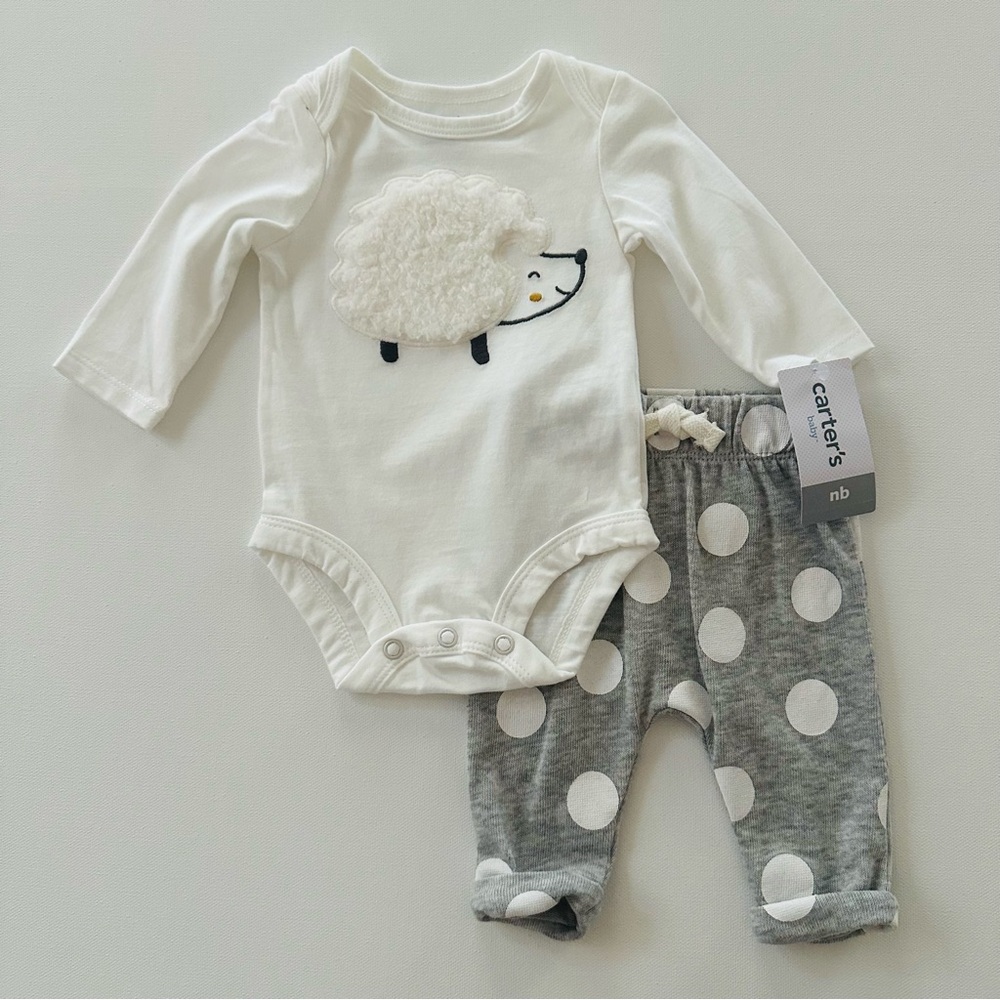 Carter’s Newborn Baby Hedgehog Bodysuit Pants Set Outfit